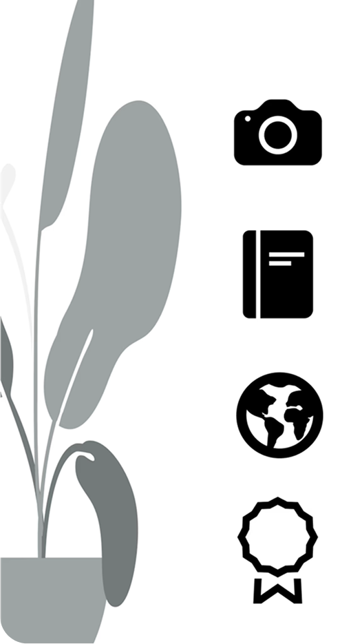 Step 1 grayscale: User visits home page