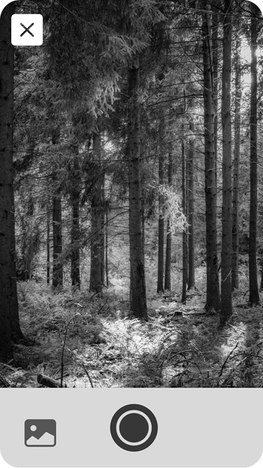 Step 2 grayscale: User opens daily I Spy feature