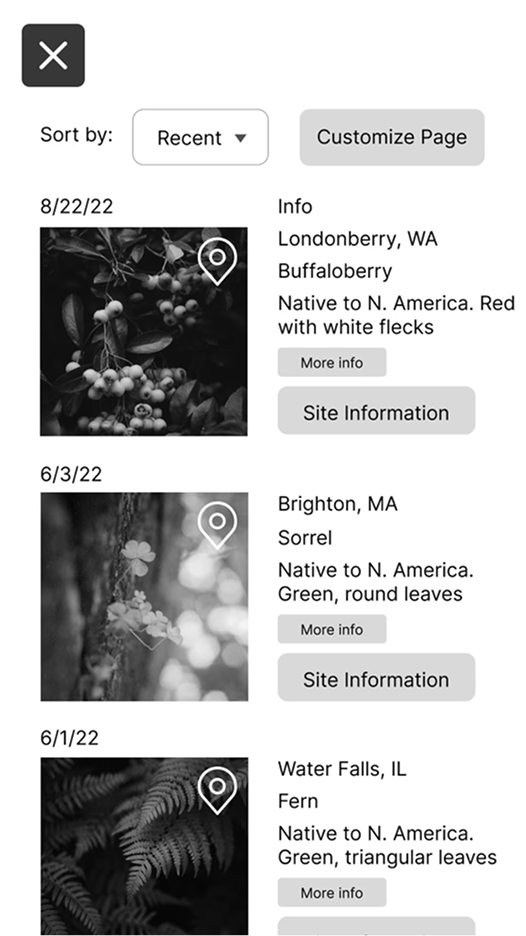 Step 4 grayscale: User saves daily discovery