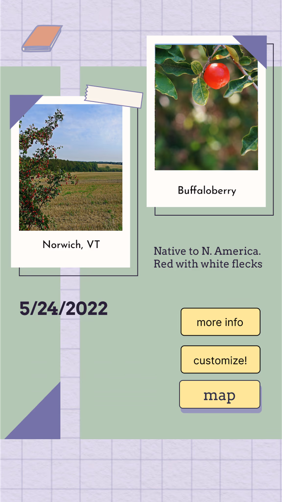 UI aesthetic iteration screen 2