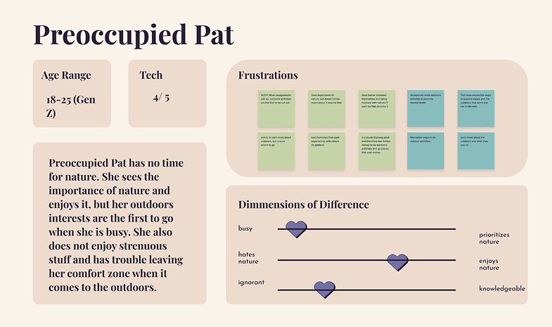 Preoccupied Pat user persona
