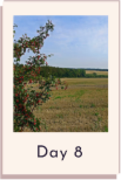 Retention: Scrapbook and map screen